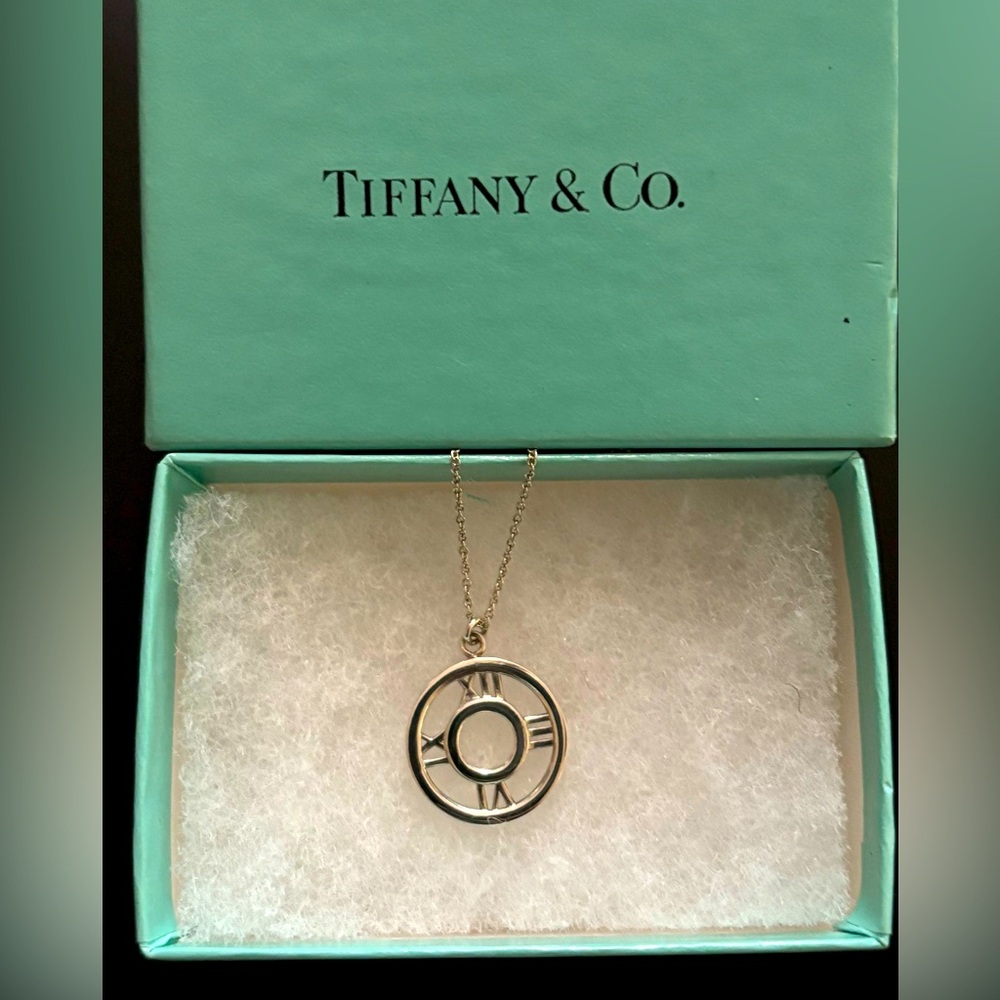 Authentic Tiffany & Co. Sterling Silver Atlas Medallion Pendant Necklace